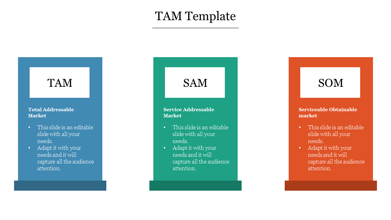 Sample of TAM Template PowerPoint Presentation Slide